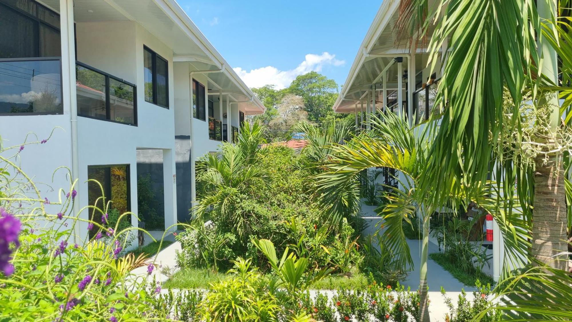 Ballena Rey Hotel Uvita Kültér fotó