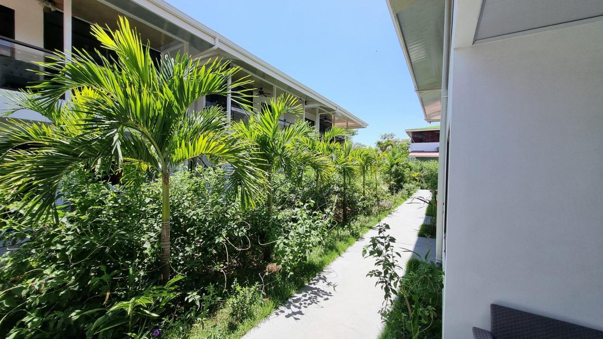 Ballena Rey Hotel Uvita Kültér fotó