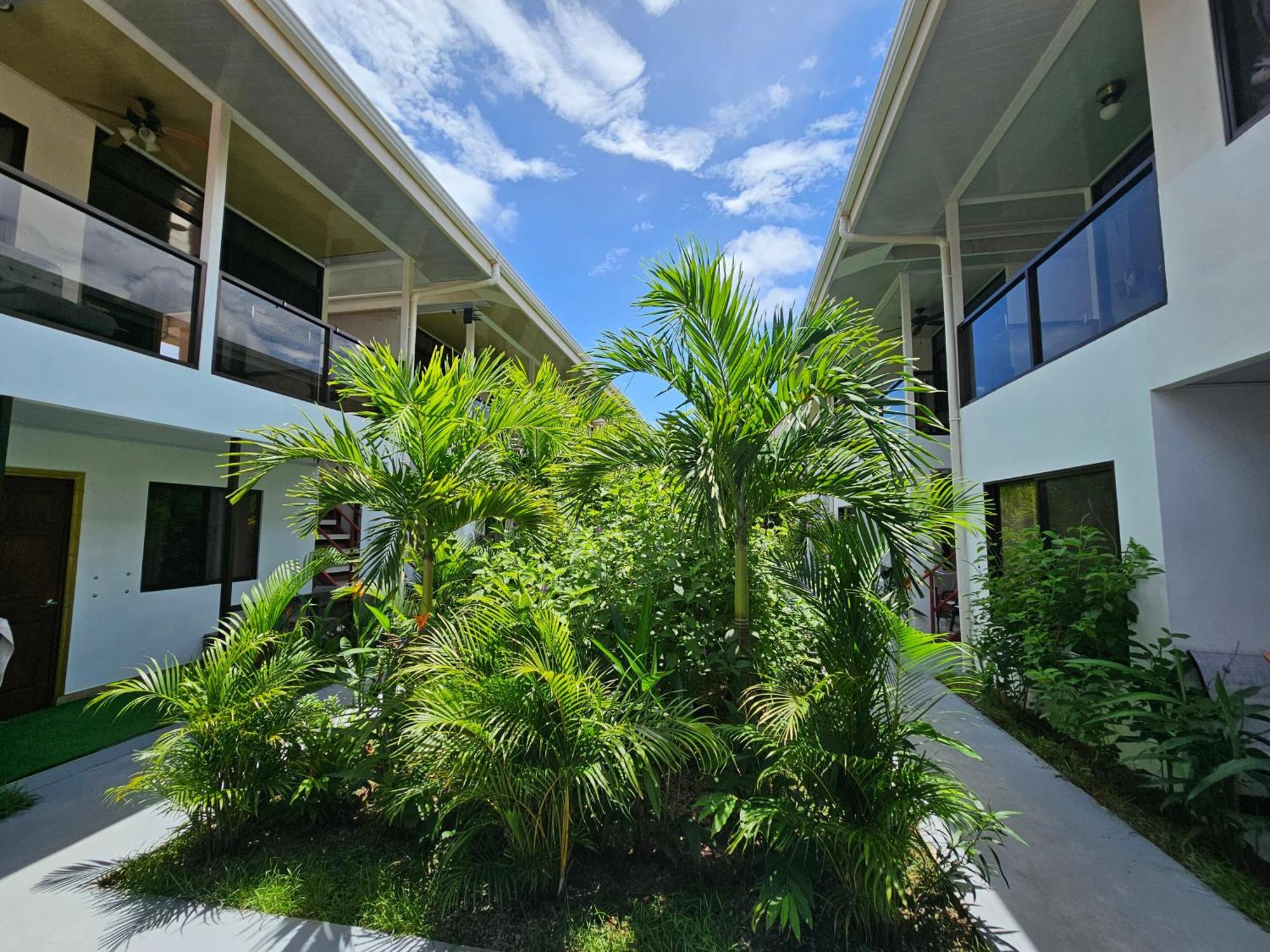 Ballena Rey Hotel Uvita Kültér fotó
