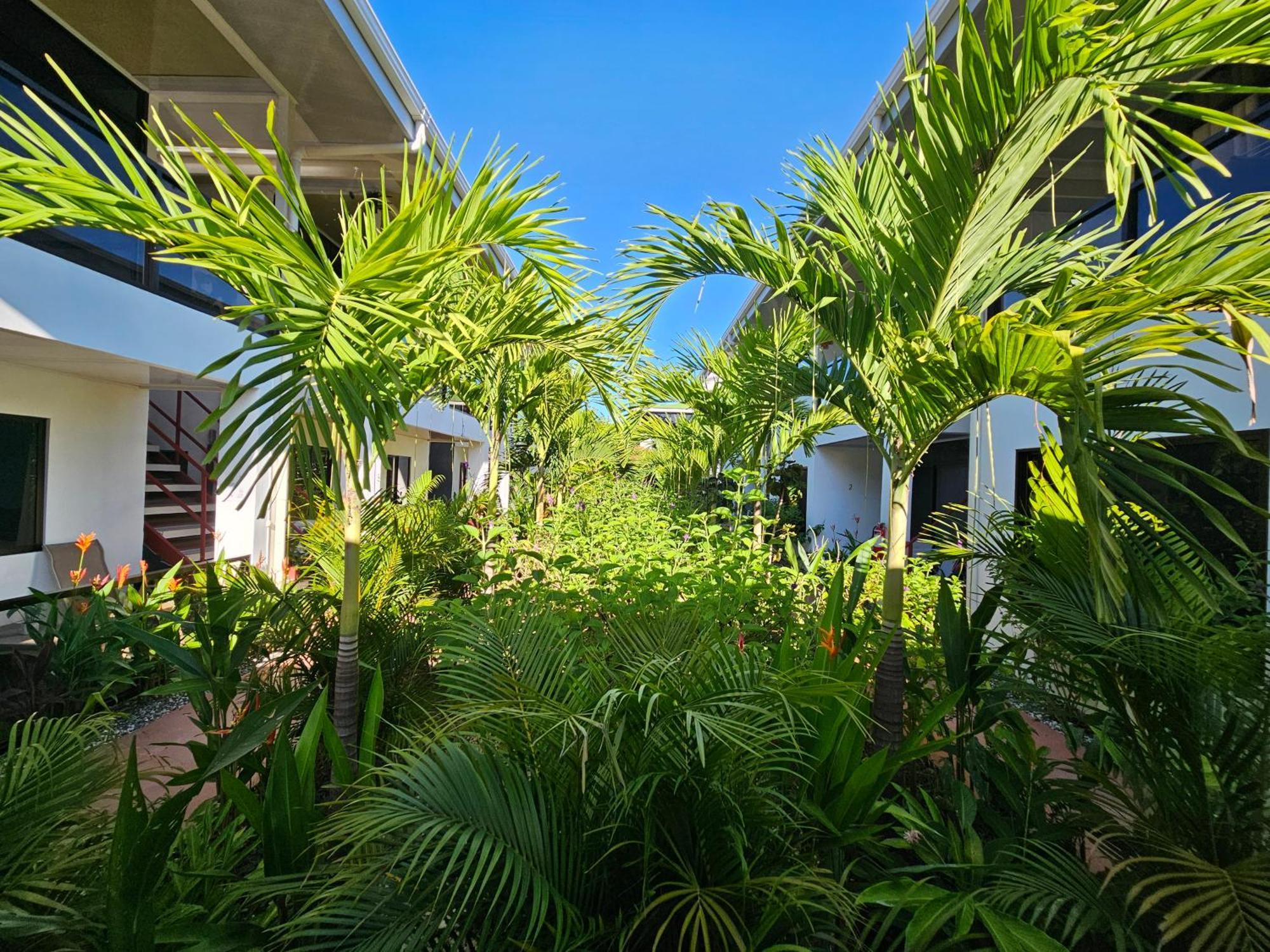 Ballena Rey Hotel Uvita Kültér fotó