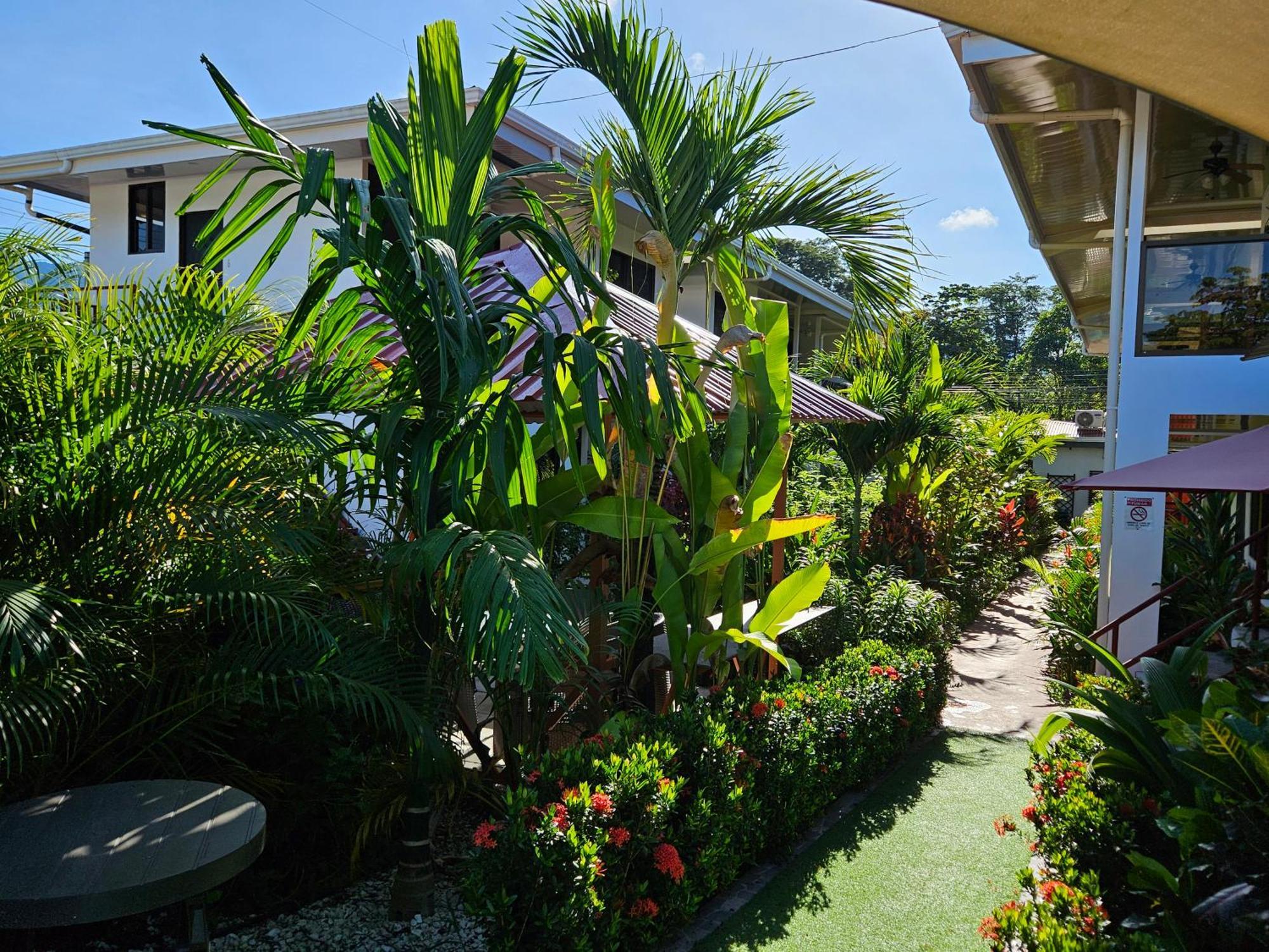 Ballena Rey Hotel Uvita Kültér fotó