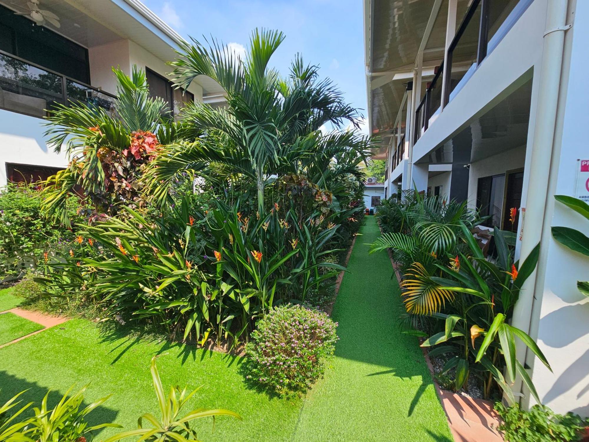 Ballena Rey Hotel Uvita Kültér fotó