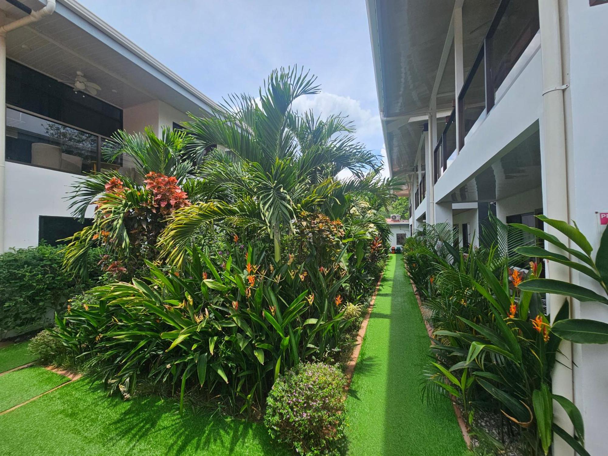 Ballena Rey Hotel Uvita Kültér fotó