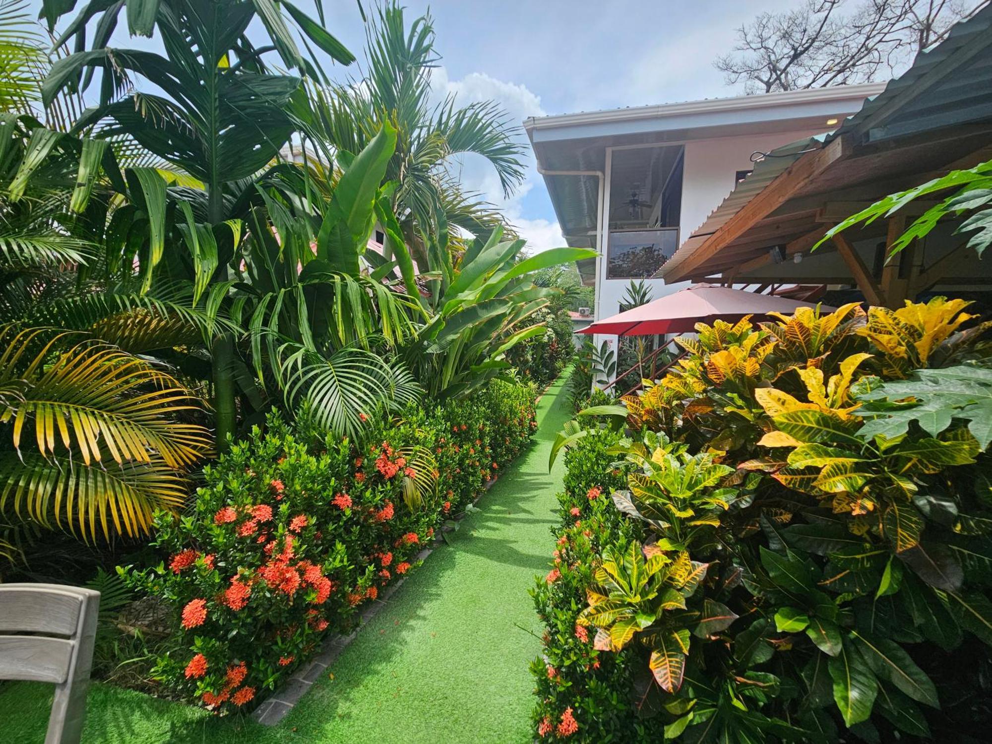 Ballena Rey Hotel Uvita Kültér fotó